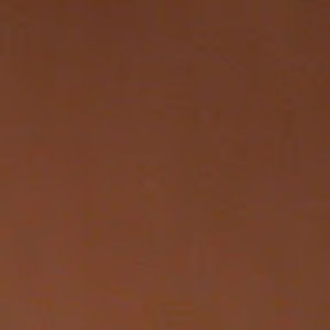 Meet your Posher, Ary